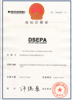 鼎升電力注冊商標DSEPA